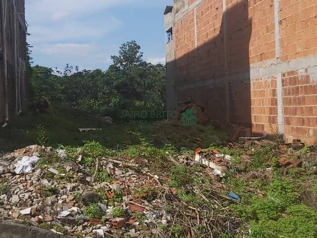 FRENTE