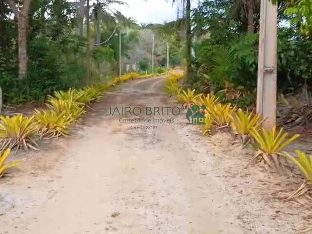 Venda em Aritaguá - Ilhéus